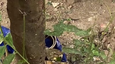 Kabupaten Bekasi - Proyektil atau peledak yang digergaji oleh pemulung di Babelan hingga sebabkan ledakan. Foto: Ist/Gobekasi.id.