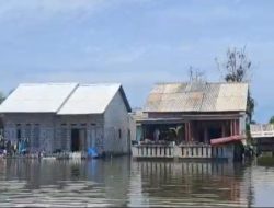 Ribuan Warga Muaragembong Terdampak Banjir Rob, 2.190 Hektare Tambak Terendam