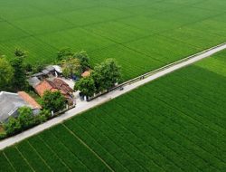 Alih Zona Lahan Picu Penolakan Izin Perumahan di Kabupaten Bekasi