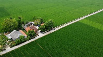Kabupaten Bekasi - Lahan hijau yang ada di Kabupaten Bekasi. Foto: Ist