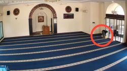 Dana Donasi Bencana Sumatera Rp 8 Juta Raib Dicuri di Masjid Babelan