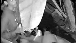 Dua Pria Diduga Curi Unggas Milik Warga di Cikarang