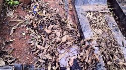 Pembunuhan di TPU Jakasampurna, Pelaku Teman Lama Korban, Polisi Belum Ungkap Motifnya