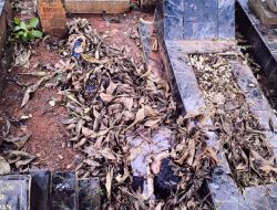 Pembunuhan di TPU Jakasampurna, Pelaku Teman Lama Korban, Polisi Belum Ungkap Motifnya