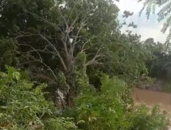 Longsor dan Pohon Tumbang di Tambun Utara, Tiga Rumah Warga Runtuh Akibat Luapan Kali Bekasi