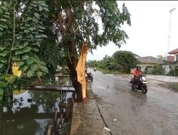 Hujan Disertai Angin Kencang, Pohon Tumbang Timpa Tiga Motor di Cikarang Utara