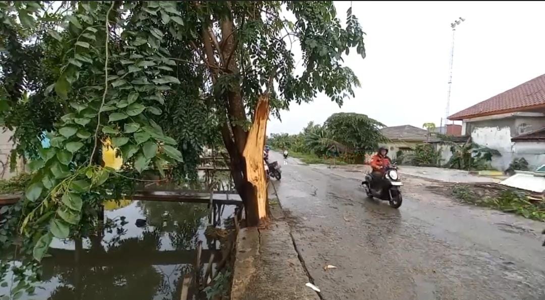 Kabupaten Bekasi -Pohon tumbang menimpa sejumlah pengendara sepeda motor di Jalan Irigasi, Desa Karangraharja, Kecamatan Cikarang Utara, Kabupaten Bekasi, Selasa (13/1/2026) siang. Foto: Ist/Gobekasi.id.