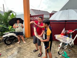 Polder Tak Mampu Tampung Debit Air, Ikan Lele Buyar dan Ditangkap Warga