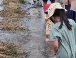 BPBD: 162 Titik Banjir di Kabupaten Bekasi Belum Surut