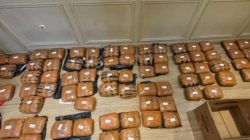 Awal Tahun Polda Metro Bongkar Ganja 83 Kilo di Bekasi, Jaringan Masih Ditelusuri