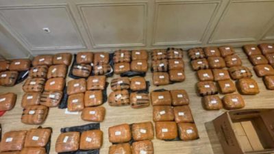 Kota Bekasi - Barang bukti ganja yang disita Polda Metro Jaya. Foto: Ist/Gobekasi.id.