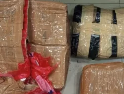 Pengedar 1,3 Kg Ganja Dibekuk di Rawalumbu, Polda Metro Jaya: Berawal dari Laporan Warga