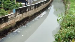 Kota Bekasi - Kondisi Kali Irigasi di Bekasi Timur berwarna abu-abu dan mengeluarkan bau tak sedap, Sabtu (7/2/2026). Foto: Ist