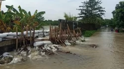 Enam Titik Tanggul Sungai Citarum Rusak di Muaragembong, Warga Hadapi Ancaman Jebol Berulang