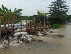 Enam Titik Tanggul Sungai Citarum Rusak di Muaragembong, Warga Hadapi Ancaman Jebol Berulang
