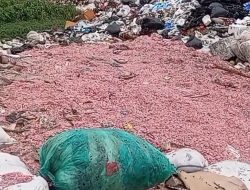 Cacahan Uang Rupiah Berserakan di TPS Liar Kabupaten Bekasi, Pemerintah Telusuri Asalnya