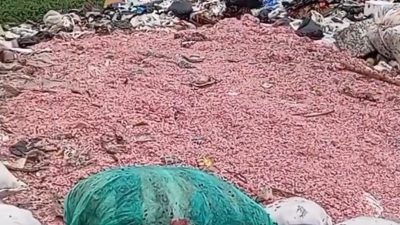 Kabupaten Bekasi - Tangkapan layar video IG @sahabatpedulilingkungan yang menampakan cacahan uang rupiah di TPS Liar, Setu, Kabupaten Bekasi.