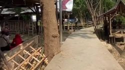 Longsor Terjang Hutan Bambu Bekasi, Empat Saung Hanyut dan Aktivitas Wisata Ditutup Sementara