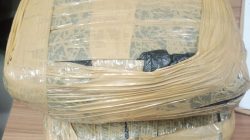 Kota Bekasi - Barang bukti ganja seberat lebih dari 2 kilogram yang diduga akan diedarkan di wilayah Bekasi dari tangan pria berinisial GAG (26), Rabu (25/2/2026). Foto: Ist/Gobekasi.id.