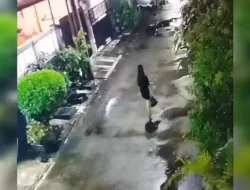 Viral Temuan Bayi Dalam Tong Sampah di Tytyan Kencana Bekasi Utara, Pelakunya Terekam CCTV