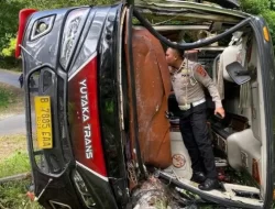 Wisatawan Bekasi Kecelakaan di Jalur Maut Sawarna: Mikrobus Terperosok Tebing di Tanjakan Cariang