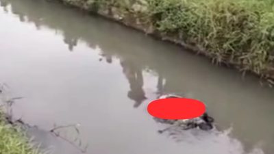 Kota Bekasi - Penemuan mayat laki - laki di Kali Irigasi Perumahan Darmawangsa, Tambun Utara, Kota Bekasi, Senin (2/3/2026). Foto: Ist/Gobekasi.id.