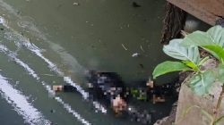 Geger! Mayat Pria Mengambang di Kali Bancong Bekasi Utara: Temuan Tramadol dan Motor Jadi Teka-Teki