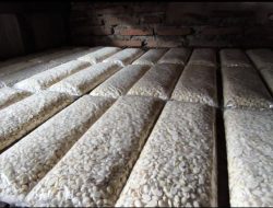 Imbas Konflik Global, Harga Kedelai Impor Meroket Paksa Perajin Tempe di Bekasi Putar Otak