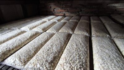 Kabupaten Bekasi - Harga kedelai impor naik perajin tempe Bekasi perkecil ukuran