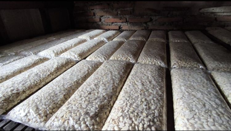 Kabupaten Bekasi - Harga kedelai impor naik perajin tempe Bekasi perkecil ukuran