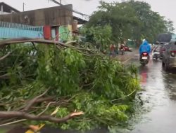Cuaca Ekstrem di Bekasi: Pohon hingga Papan Reklame Ambruk