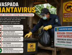 Pemkab Bekasi Terbitkan SE Kesiapsiagaan Kasus Hantavirus