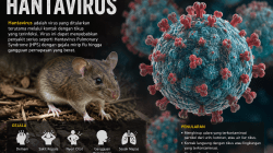 Hantavirus Jadi Ancaman Baru Kesehatan Global, Ini Penjelasan Dinkes Bekasi