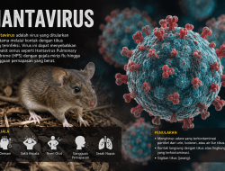 Hantavirus Jadi Ancaman Baru Kesehatan Global, Ini Penjelasan Dinkes Bekasi