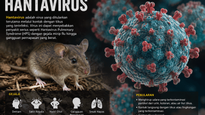 Bekasi - Ilustrasi Hantavirus. Foto: Chatgpt for Gobekasi.id.