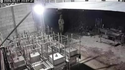 Bekasi - Teror pocong yang beredar luas di lini masa sosial media. Foto: Ist/Gobekasi.id.