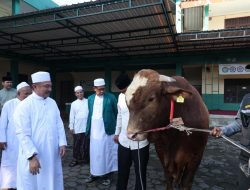 Salat Id di Jatiasih, Plh Wali Kota Bekasi Serahkan Sapi 1,2 Ton Milik Presiden Prabowo