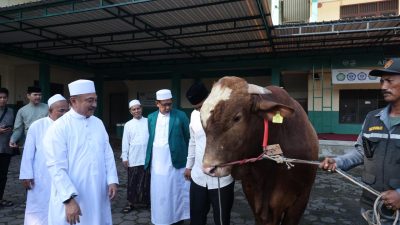 Bekasi - Pelaksana Harian (Plh) Wali Kota Bekasi, Abdul Harris Bobihoe menyerahkan secara resmi sapi kurban bantuan Presiden Republik Indonesia, Prabowo Subianto, di Masjid Al-Mukhlisin, Kompleks Pondok Pesantren Ar-Ridwan, Kelurahan Jatiluhur, Kecamatan Jatiasih, Kota Bekasi, Rabu (27/5/2026). Foto: Ist/Gobekasi.id.