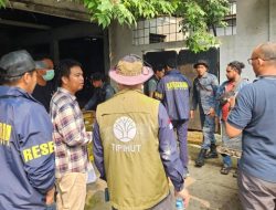 Kasus Satwa Dilindungi, Tim Gabungan Geledah Gudang di Bekasi dan Sita 11 Sanca Hijau Papua