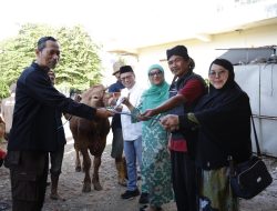 Rayakan Iduladha, RSUD CAM Kota Bekasi Sembelih 11 Hewan Kurban