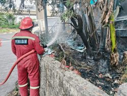 Bakar Sampah Sembarangan, Gardu Listrik di Kalimalang Terbakar