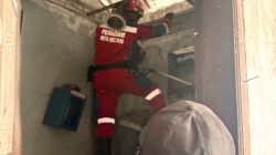 Tiga Hari Teror Warga Margahayu, Monyet Ekor Panjang Berhasil Diamankan Damkar 