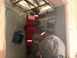 Tiga Hari Teror Warga Margahayu, Monyet Ekor Panjang Berhasil Diamankan Damkar 