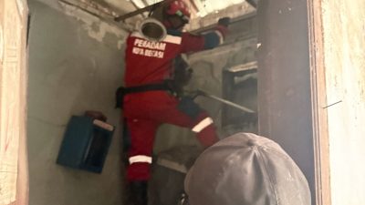 Bekasi - Kompi C Regu 1 Rescue Damkar Kota Bekasi, saat mengevakuasi monyet ekor panjang di Bekasi Timur. Foto: Ist/Gobekasi.id.