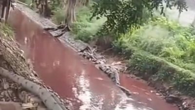 Bekasi - Air Kali Sadang Kecamatan Cikarang Barat, Kabupaten Bekasi, berubah menjadi warna merah bak darah dan membuat geger warga. Foto: Ist