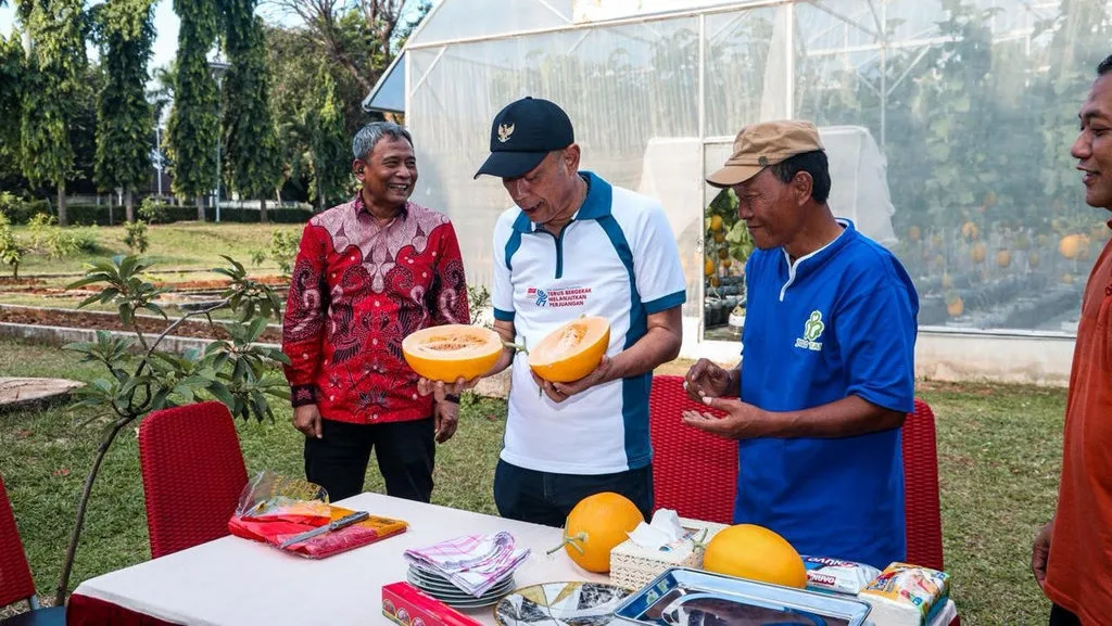 Bekasi - Wakil Menteri Sosial Agus Jabo Priyono didampingi Direktur Jenderal Rehabilitasi Sosial Supomo dan Kepala STPL Budi Satriyo, saat memanen hasil budidaya melon di Sentra Terpadu Pangudi Luhur (STPL) Bekasi, Sabtu (13/6/2026). Foto: Ist