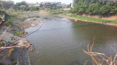 Bekasi - Kondisi Kali Bekasi mengalami kesurutan akibat kemarau panjang. Foto: Septian/Gobekasi.id.