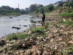 Fenomena Kali Bekasi Surut, Warga Manfaatkan untuk Berburu Ikan