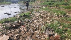 Bekasi - Kondisi Kali Bekasi yang mengering akibat kemarau. Foto: Septian/Gobekasi.id.
