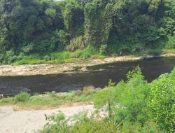 Diduga Tercemar Limbah Hitam dari Hulu Bogor, DLH Kota Bekasi dan KP2C Susur Kali Bekasi